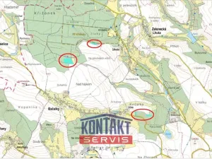 Prodej lesa, Bačalky - Lično, 32004 m2