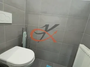 Pronájem bytu 2+kk, Rožnov pod Radhoštěm, 1. máje, 120 m2