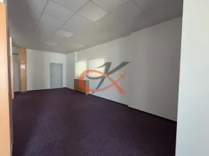 Pronájem bytu 2+kk, Rožnov pod Radhoštěm, 1. máje, 120 m2