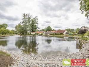 Prodej pozemku, Dírná, 2984 m2