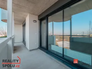 Pronájem bytu 2+kk, Plzeň, U Borského parku, 54 m2