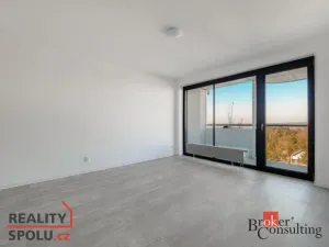 Pronájem bytu 2+kk, Plzeň, U Borského parku, 54 m2