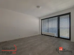 Pronájem bytu 2+kk, Plzeň, U Borského parku, 54 m2