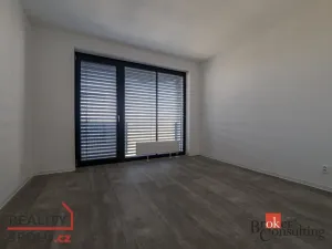 Pronájem bytu 2+kk, Plzeň, U Borského parku, 54 m2