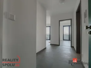 Pronájem bytu 2+kk, Plzeň, U Borského parku, 54 m2