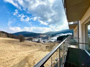 Prodej apartmánu, Dolní Morava, 28 m2