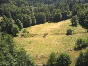 Prodej pozemku pro bydlení, Olešnice v Orlických horách, 3446 m2