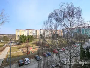 Pronájem bytu 3+1, Brno, Zikova, 74 m2
