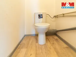 Prodej obchodního prostoru, Cheb, Na Hradčanech, 300 m2