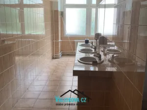 Pronájem obchodního prostoru, Kroměříž, Oskol, 450 m2