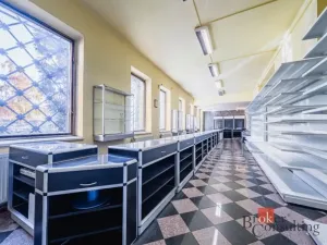 Prodej obchodního prostoru, Plzeň - Jižní Předměstí, Korandova, 246 m2