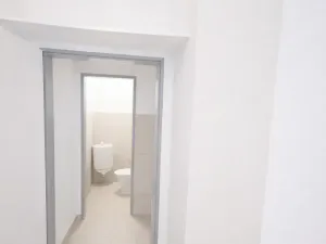 Pronájem obchodního prostoru, Brno, Kopečná, 30 m2