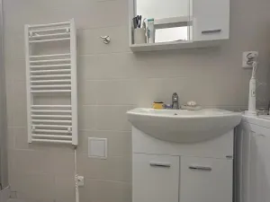 Pronájem bytu 1+kk, Praha - Smíchov, Zoubkova, 28 m2