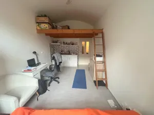 Pronájem bytu 1+kk, Praha - Smíchov, Zoubkova, 28 m2