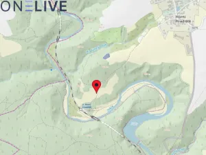 Prodej zahrady, Plasy, 2517 m2