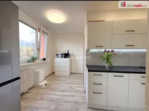 Prodej bytu 2+1, Ústí nad Labem - Střekov, Tolstého, 64 m2