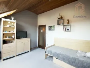 Prodej rodinného domu, Brno, Palírenská, 246 m2