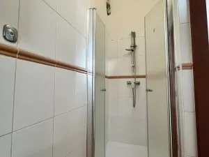 Pronájem bytu 1+1, Ostrava - Přívoz, Hájkova, 50 m2