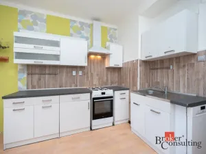Prodej bytu 1+1, Praha - Vinohrady, Moravská, 52 m2