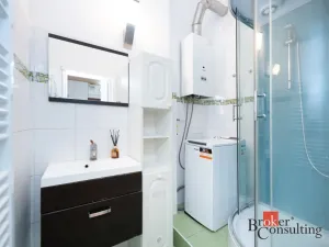 Prodej bytu 1+1, Praha - Vinohrady, Moravská, 52 m2
