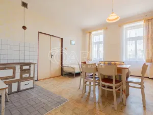 Prodej zemědělské usedlosti, Lišov - Horní Slověnice, 900 m2