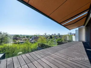 Prodej vícegeneračního domu, Praha - Malešice, Dubského, 321 m2