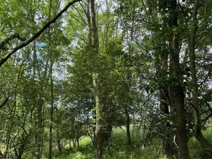 Prodej podílu pozemku, Suchdol, 3247 m2