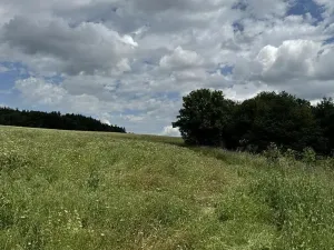 Prodej podílu pozemku, Suchdol, 3247 m2