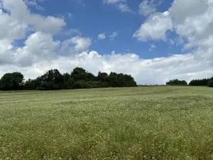 Prodej podílu pozemku, Suchdol, 3247 m2