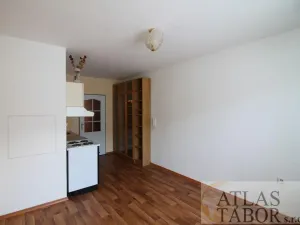 Pronájem bytu 1+kk, Sezimovo Ústí, Průmyslová, 21 m2
