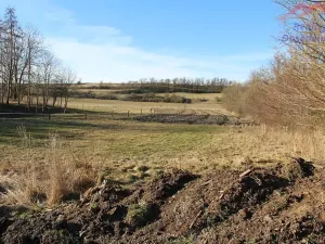 Prodej pozemku pro bydlení, Blevice, 1000 m2