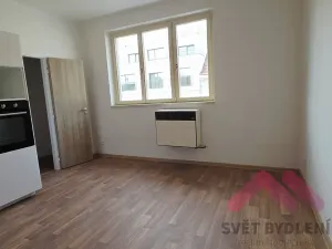 Pronájem bytu 2+1, Praha - Žižkov, Ambrožova, 80 m2