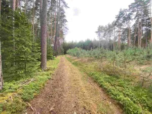 Prodej pozemku, Kladruby - Tuněchody, 1744 m2