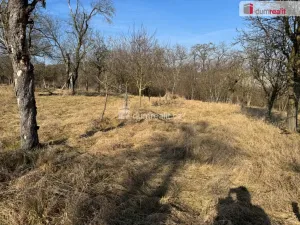 Prodej zahrady, Rataje, 668 m2