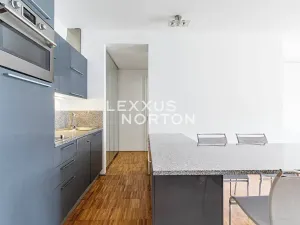 Pronájem bytu 2+kk, Praha - Žižkov, Prokopova, 58 m2