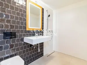 Pronájem rodinného domu, Praha - Dejvice, Fragnerova, 265 m2