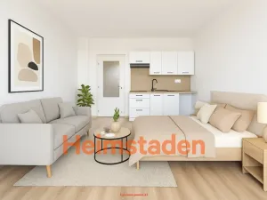 Pronájem bytu 1+kk, Ostrava - Zábřeh, Petruškova, 29 m2