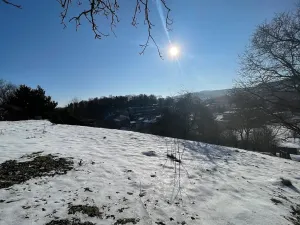 Prodej pozemku pro bydlení, Česká Třebová, 6000 m2