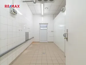 Pronájem obchodního prostoru, Plzeň, 181 m2