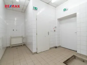Pronájem obchodního prostoru, Plzeň, 181 m2