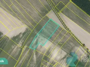 Prodej podílu 1/8 pole, Hlavečník, 3089 m2