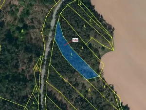 Dražba lesa, Náměšť nad Oslavou, 1796 m2