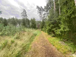 Dražba pozemku, Kladruby, 1744 m2