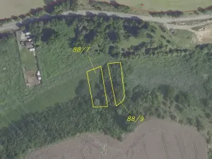 Dražba louky, Brandýs nad Labem-Stará Boleslav, 1366 m2