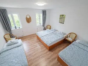 Pronájem apartmánu, Ostrava, Riegrova, 300 m2