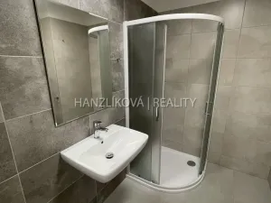 Pronájem bytu 2+kk, České Budějovice - České Budějovice 2, Na Samotách, 52 m2