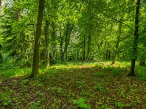 Prodej pozemku pro bydlení, Hrubá Skála, 5519 m2