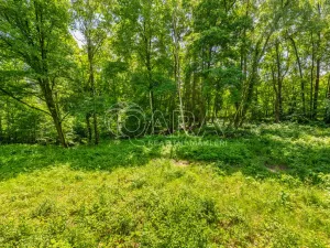 Prodej pozemku pro bydlení, Hrubá Skála, 5519 m2