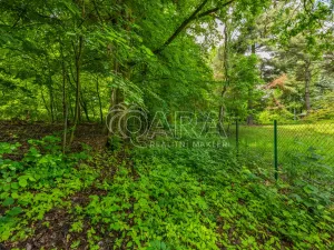 Prodej pozemku pro bydlení, Hrubá Skála, 5519 m2