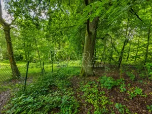 Prodej pozemku pro bydlení, Hrubá Skála, 5519 m2